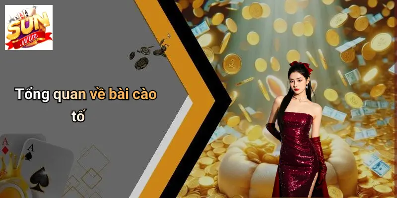 Tổng quan về bài cào tố